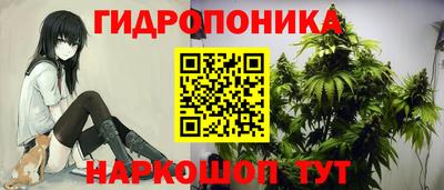 амф Севастополь
