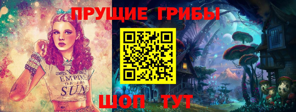 Новозыбков  Галлюциногенные грибы прущие грибы  Галлюциногенные грибы GOLDEN TEACHER  Вход с VPN 